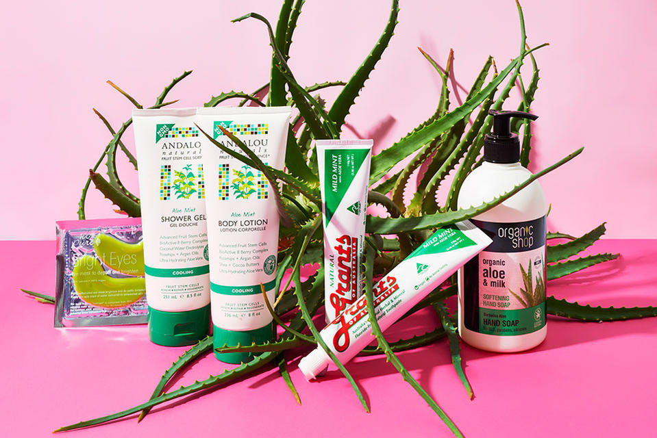 Aloe Vera Benefits For The Skin | Nourished Life
