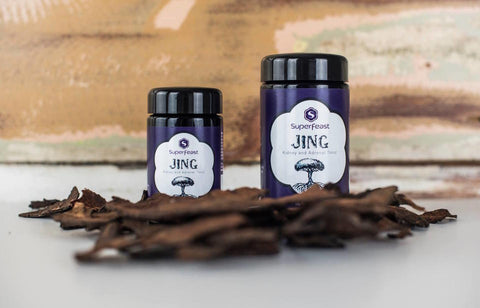 Your Guide to SuperFeast 'Magic' Mushrooms!