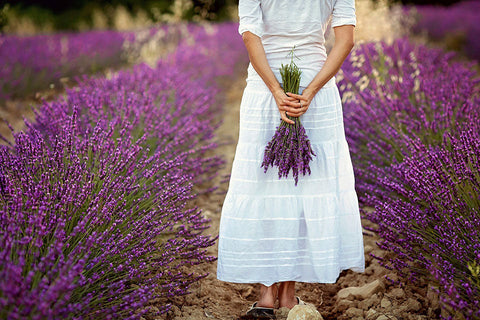 The Benefits of Lavender Oil