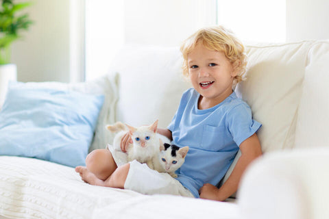 Top 5 Ways to Reduce Allergens at Home