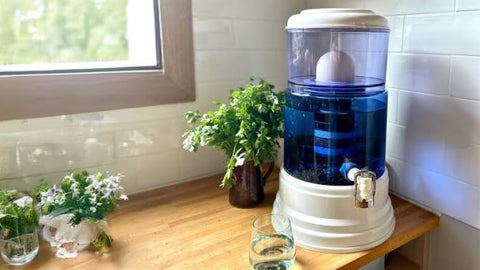 Why a water filter might be the glow-up your routine’s missing