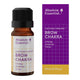 Absolute Essential Brow Chakra essential oil bottle and packaging on a white background.