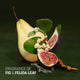 Figs and pear with leaves on a dark background, labeled 'Fragrance of Fig & Feijoa Leaf'.