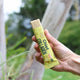 Hand holding a 'Chief Collagen' bar with a natural background