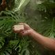 Hand holding a bar of soap labeled 'All-One' with a natural, green background.