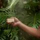 Hand holding a bar of soap under a shower with green leaves in the background