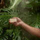 Hand holding a bar of soap labeled 'All-One' with water droplets against a green leafy background