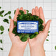 Bar of soap with a blue label held between two hands surrounded by mint leaves on a white tiled background