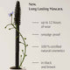 Dr. Hauschka Long-Lasting Mascara with plant-like design on a white background, featuring text about product features.