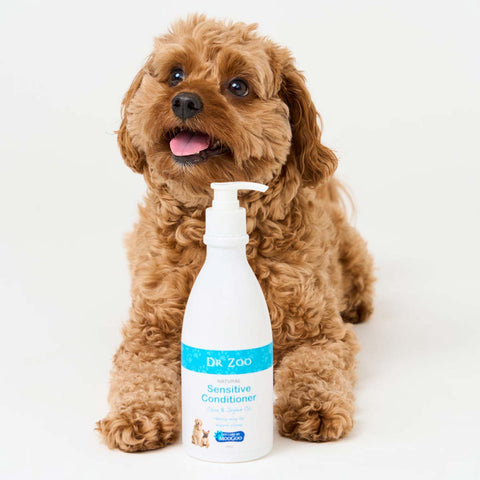 Dog sitting next to a bottle of Dr. Zoo sensitive conditioner on a white background
