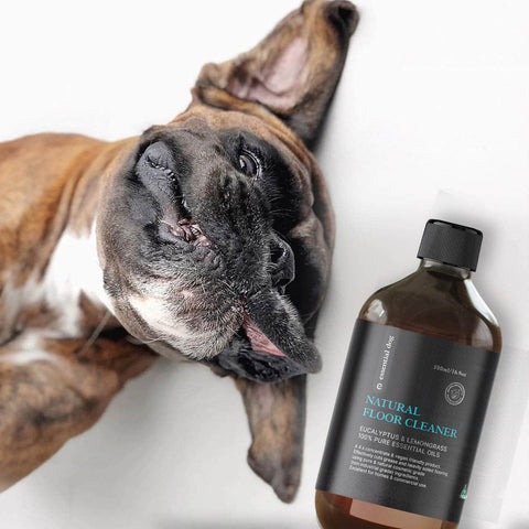 Natural Floor Cleaner - Eucalyptus & Lemongrass