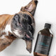 Dog lying down next to a bottle of natural floor cleaner on a white background.