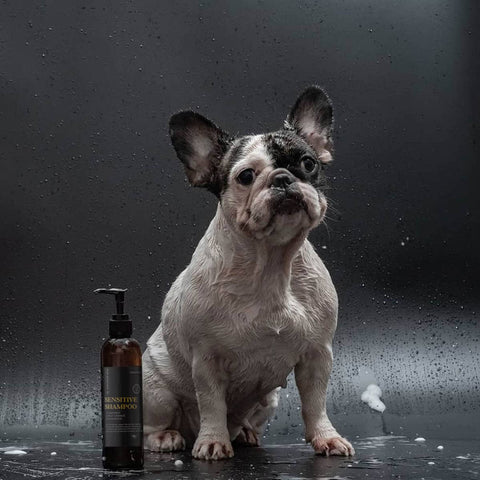 Sensitive Dog Shampoo - Chamomile, Sweet Orange & Rosewood