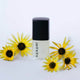 Hanami nail polish bottle with sunflowers on a white background