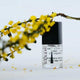 Clear bottle with black cap labeled 'HANAMI' next to a branch of yellow flowers on a light background