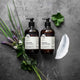 Two bottles of shampoo and conditioner with herbs and a leaf on a gray surface.