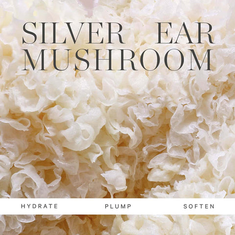 Silver ear mushroom - hero ingredient that hydrates, plumps & softens. 