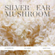 Silver ear mushroom - hero ingredient that hydrates, plumps & softens. 