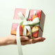 Hand holding Turmeric Glow Trio box with a pale green decorative ribbon, ideal for gifting. 