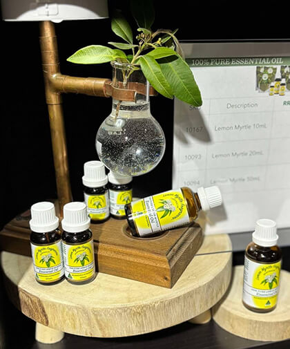 Lemon Myrtle Fragrances