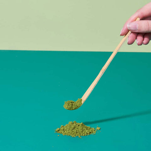Wooden spoon with matcha powder on a turquoise and green background.