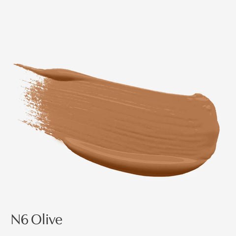 Foundation swatch labelled N6 Olive on a light grey background.