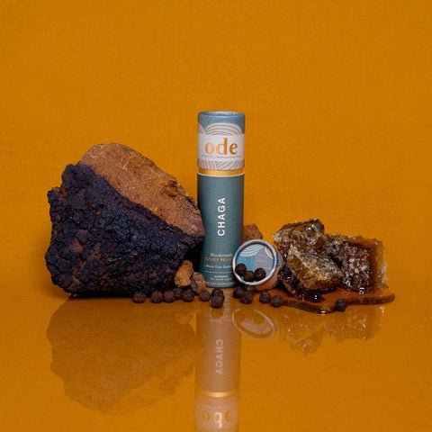 Ode Chaga mushroom supplement tube on an orange background with mushrooms & honeycomb.