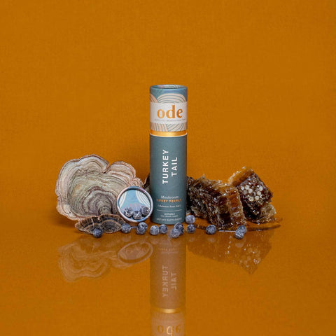 Ode Turkey Tail mushroom supplement tube on an orange background with mushrooms & honeycomb.