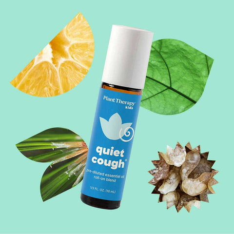 Plant Therapy Kids Quiet Cough essential oil roll-on blend with orange slice, leaves, and dried flower on a light blue background.