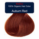 Auburn red hair color swatch with 'Radico' label on a white background.