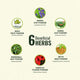 List of six beneficial herbs with images and names on a beige background.