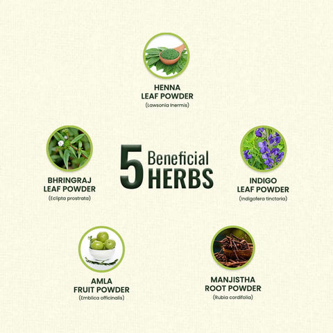 List of five beneficial herbs with images and names on a beige background.