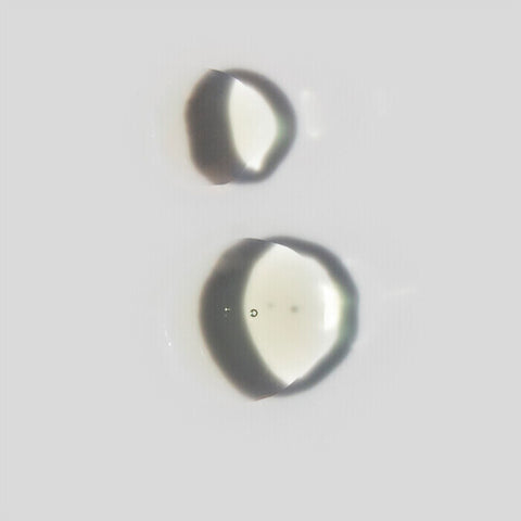 Sodashi Calming Serum clear liquid drops on a light grey background. 