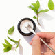 Hand scooping Solid Toothpaste Spearmint with Fluoride from a jar, surrounded by spearmint on a white background