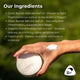 Hand holding a container of cream with ingredients info on a natural background. Manuka leaf oil, kanuka leaf oil, marshmallow root extract, coconut oil.