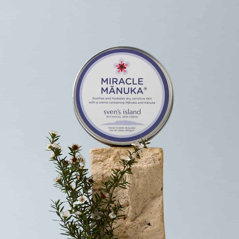 Tin of 'Miracle Manuka' cream on a stone surface with manuka twigs against a light blue background.