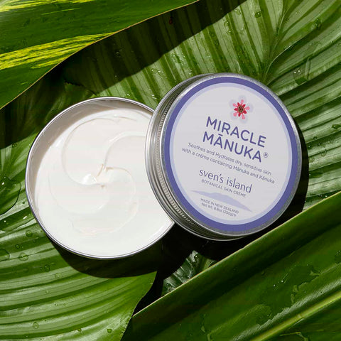 Tin of Miracle Manuka creme on a leafy background, with lid off to the side. White creamy texture. 