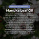 Manuka leaf oil text overlay with manuka flowers in the background