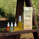 The Jojoba Company product set on a wooden surface with a natural background