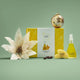 Gift set with decorative items on a green background.